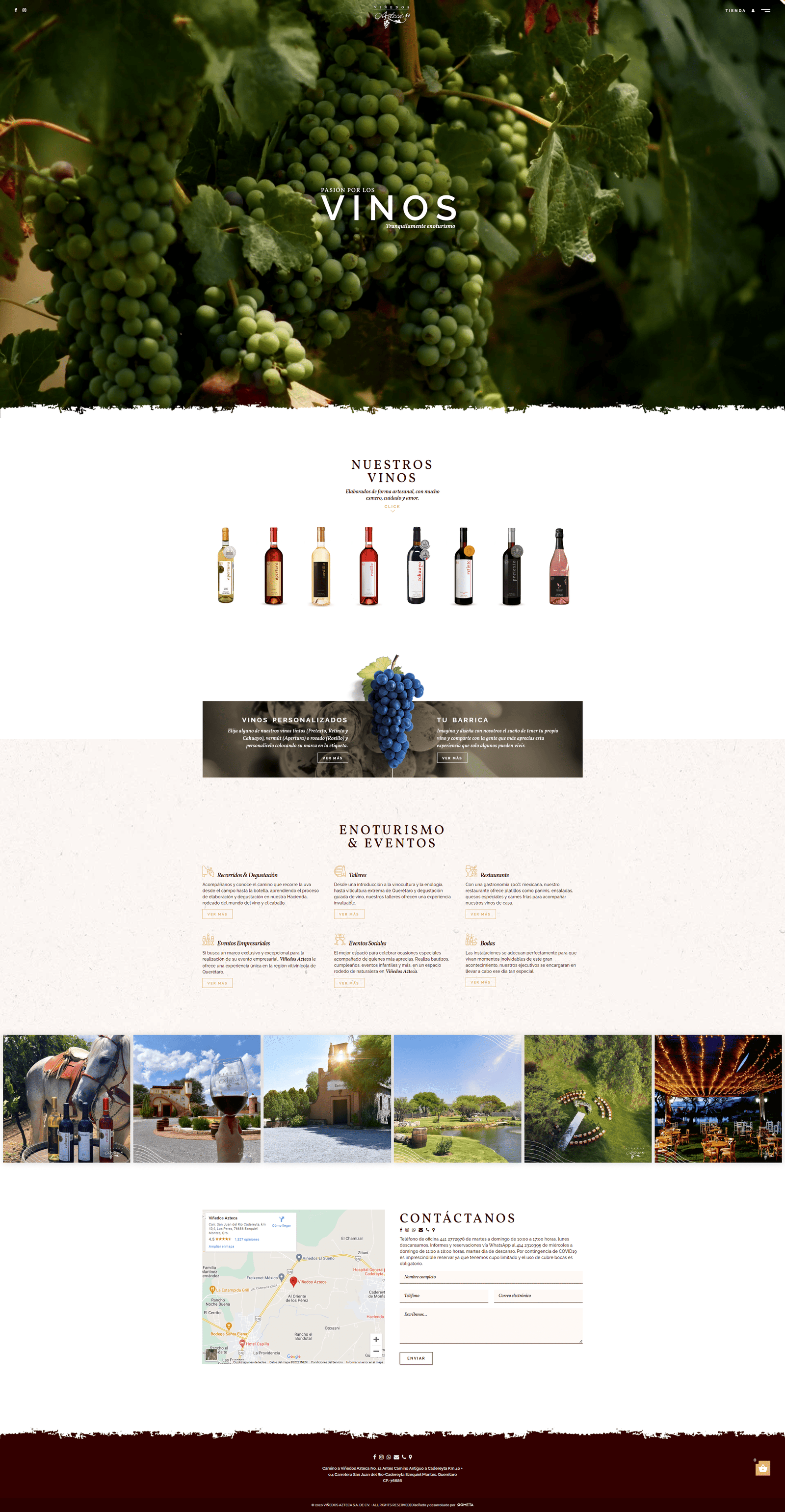 Viñedos Azteca